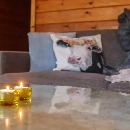 Alpehytte Vakantiebungalow Heereduin *